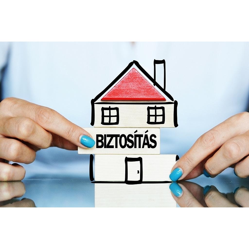 Egyéb Spsz Taekwondo vh 2025.12 Hankuk