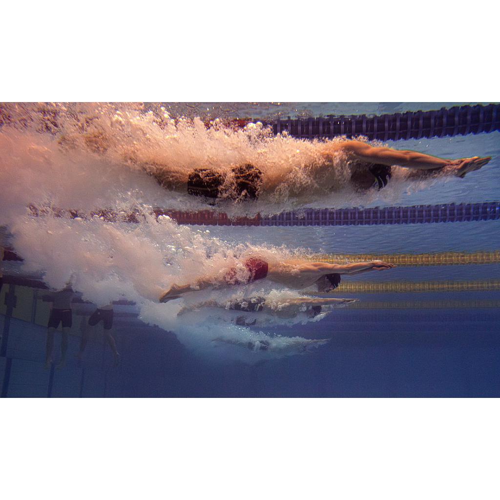 Úszás Sopron 2026.04.14-19 Verseny