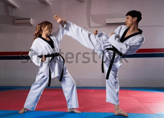 Taekwondo Asteriks Cup E3